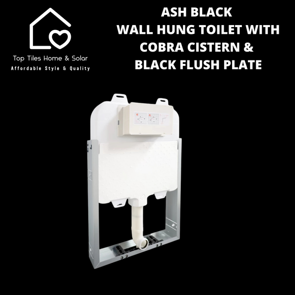 Ash Black Wall Hung Toilet with Cobra Cistern & Black Flush Plate