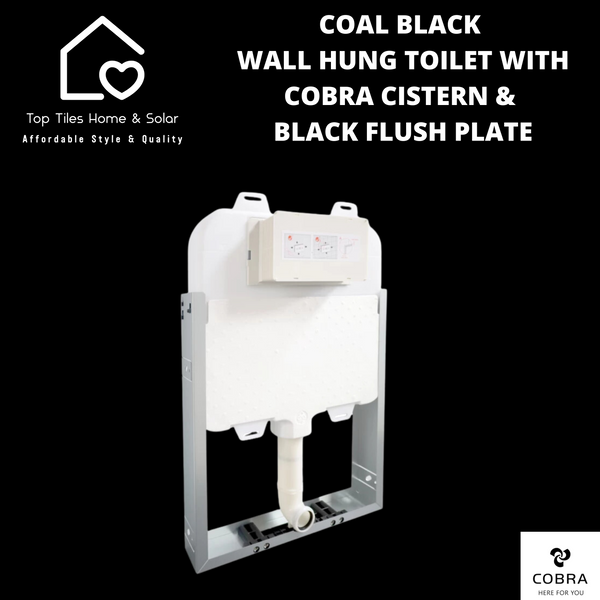 Coal Black Wall Hung Toilet with Cobra Cistern & Black Flush Plate